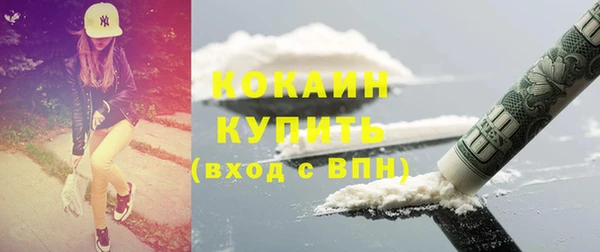 прущие грибы Алексин