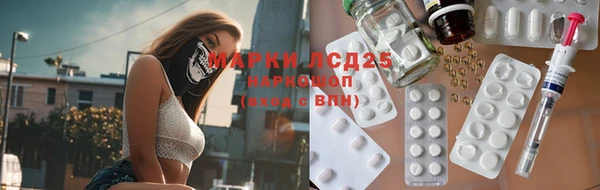 крисы Алзамай