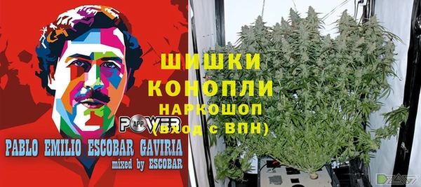 прущие грибы Алексин