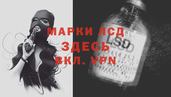 прущие грибы Алексин